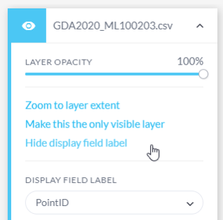 layers hide display label