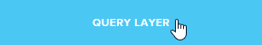 query layer button